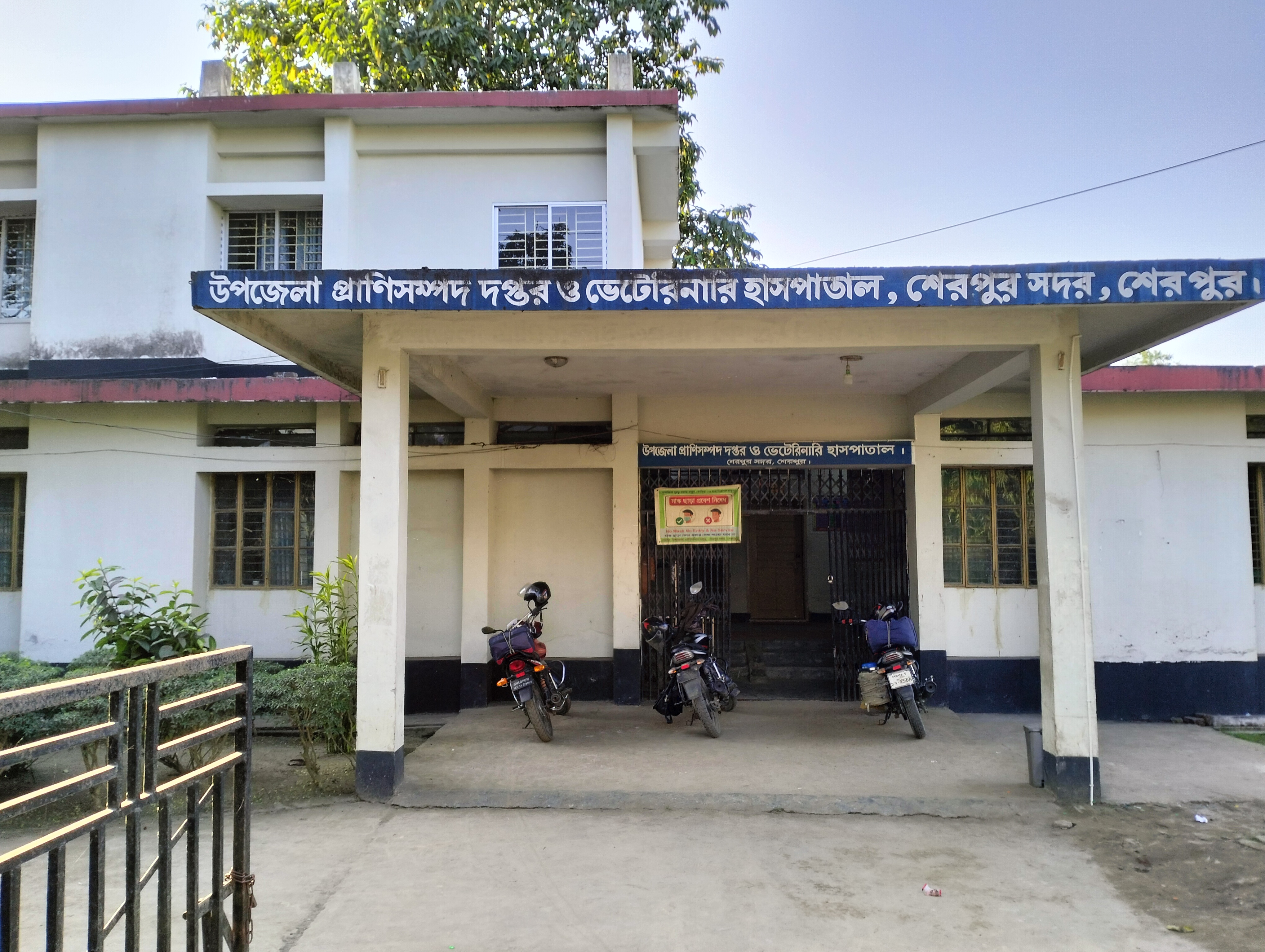 ব্যনার ৩