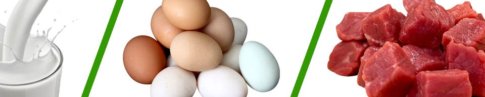 দুধ,ডিম,মাংস