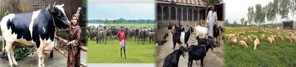 সমন্বিত ব্যানার