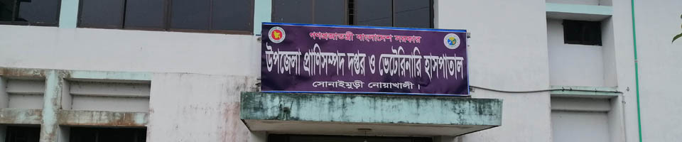 উপজেলা প্রাণিসম্পদ দপ্তর ও ভেটেরিনারি হাসপাতাল