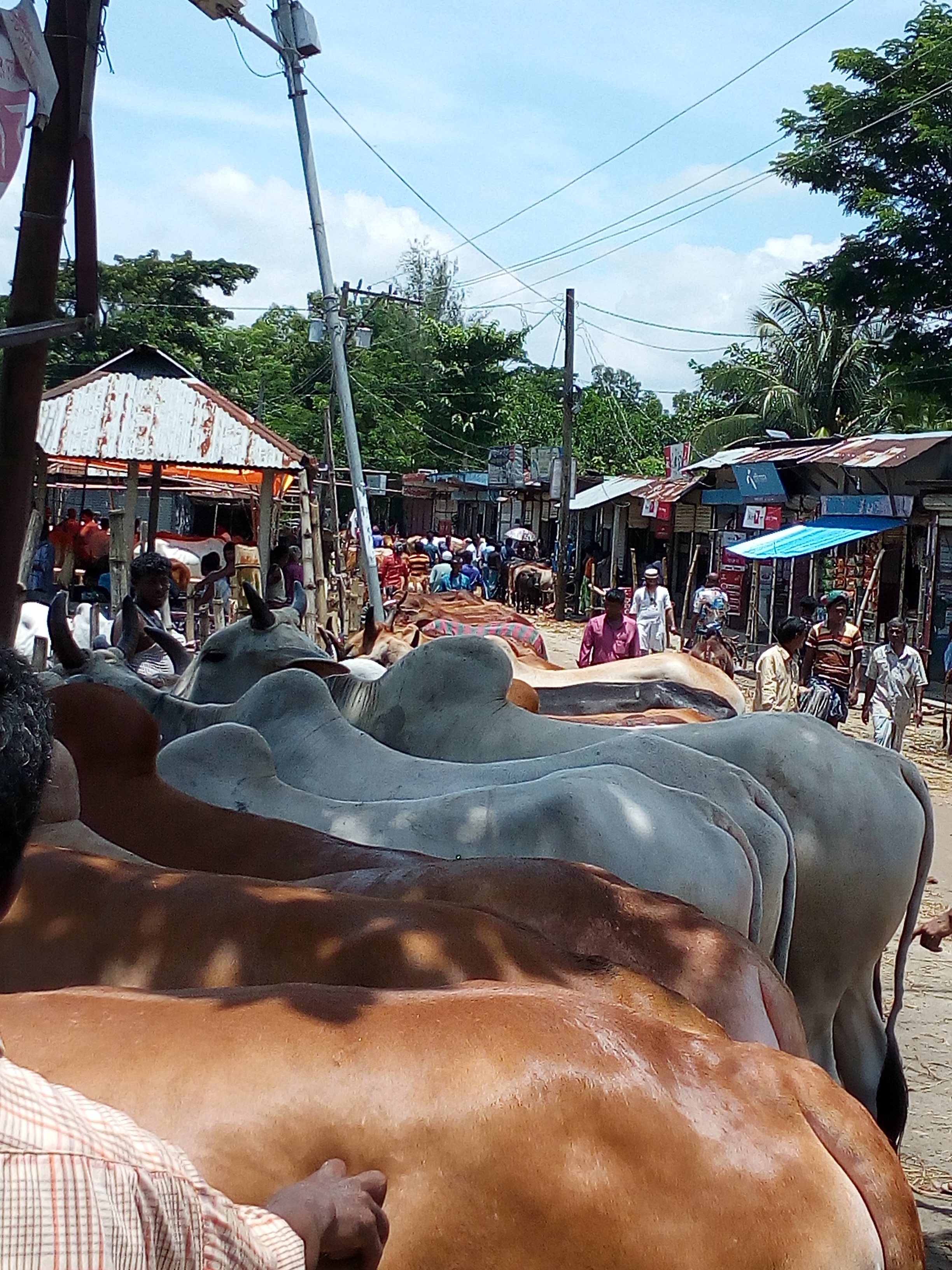 ই-সেবা কেন্দ্র, জেলা প্রশাসন