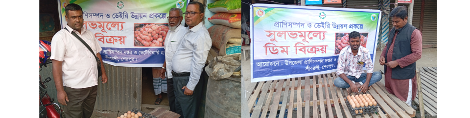 Upazilla livestock office, Sreebordi