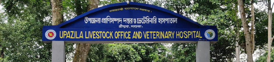 উপজেলা প্রাণিসম্পদ দপ্তর ও ভেটেরিনারি হাসপাতাল, শ্রীপুর , মাগুরা