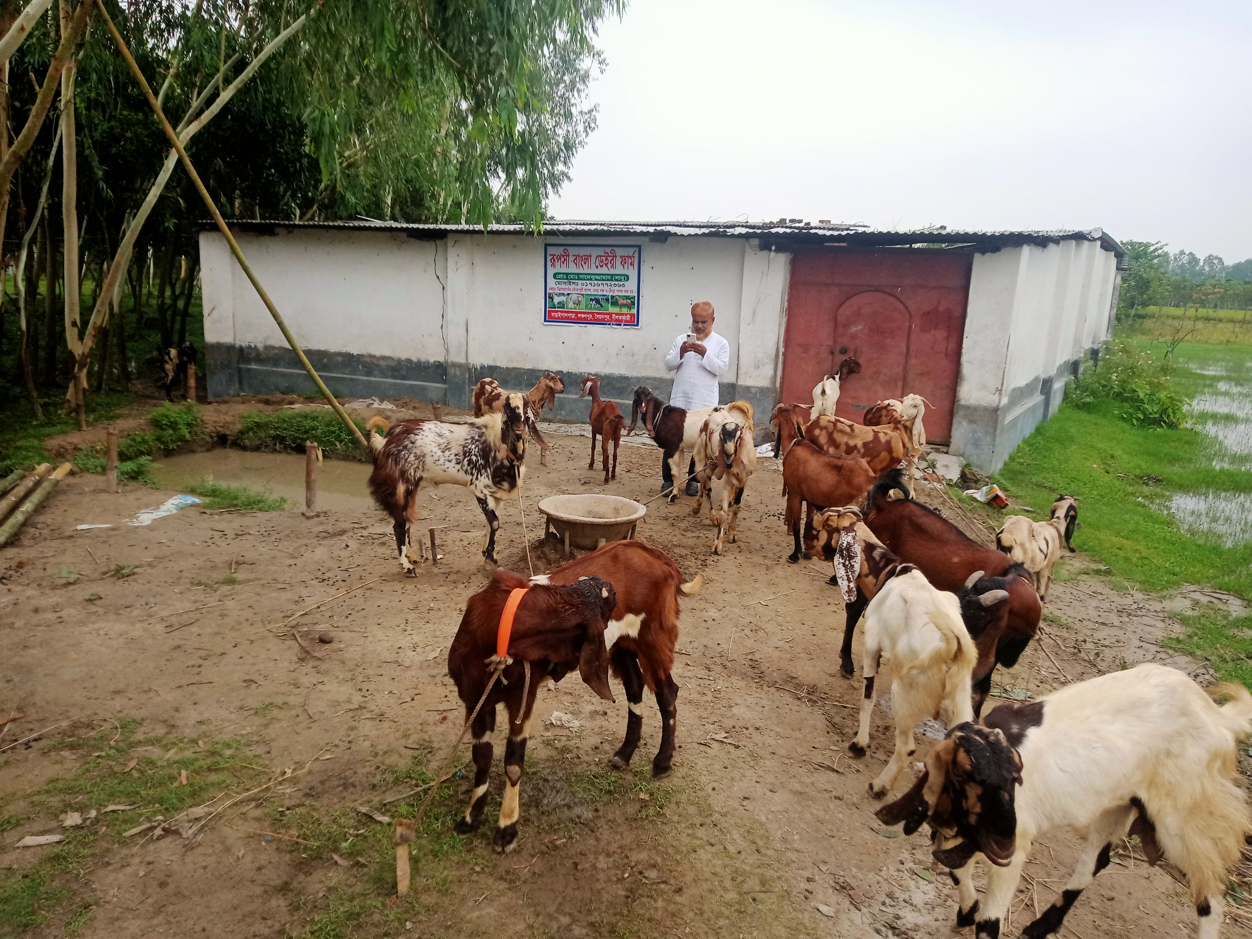 ছাগলের খামার পরিদর্শন