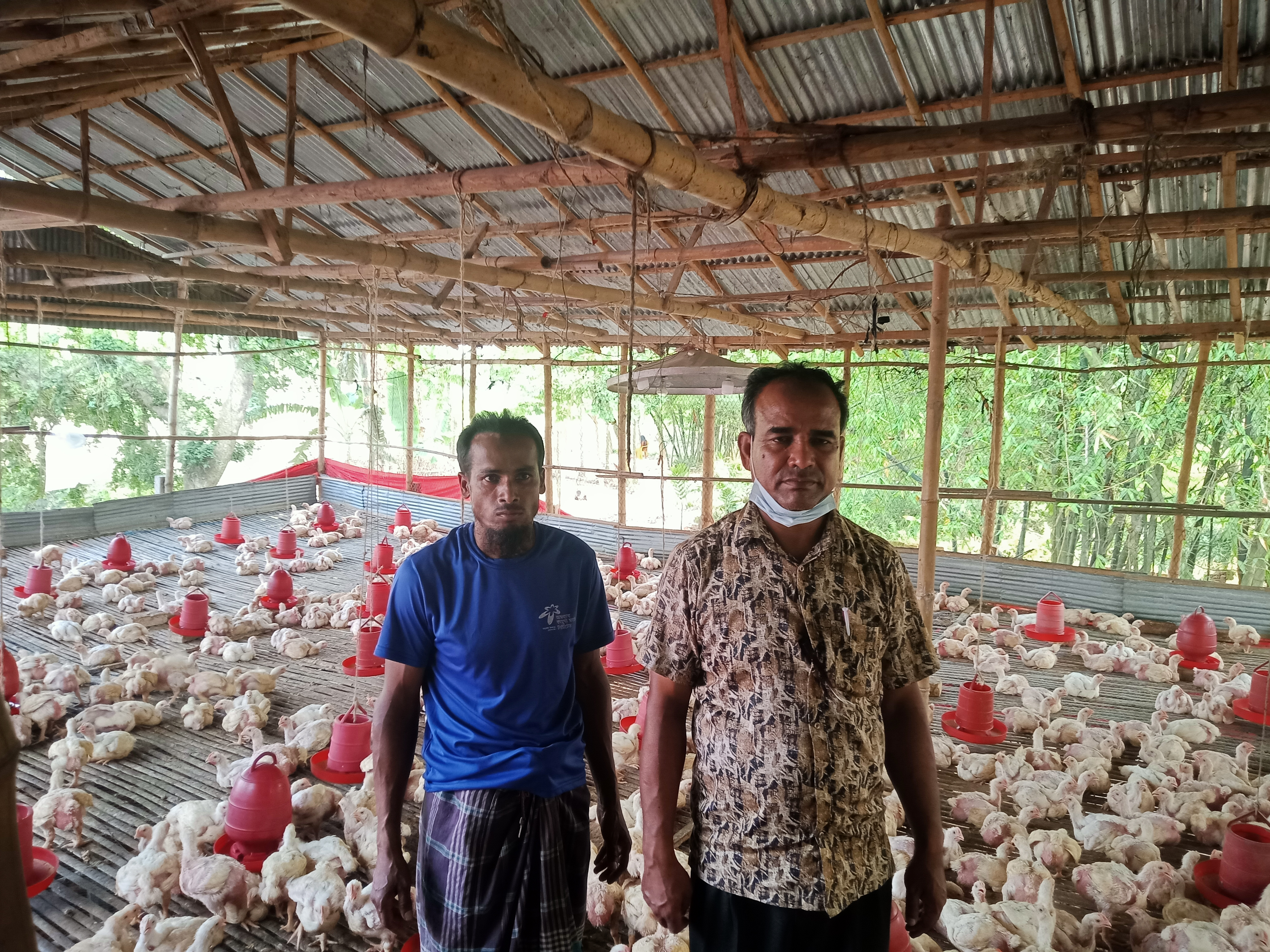 ব্রয়লার খামার পরিদর্শন