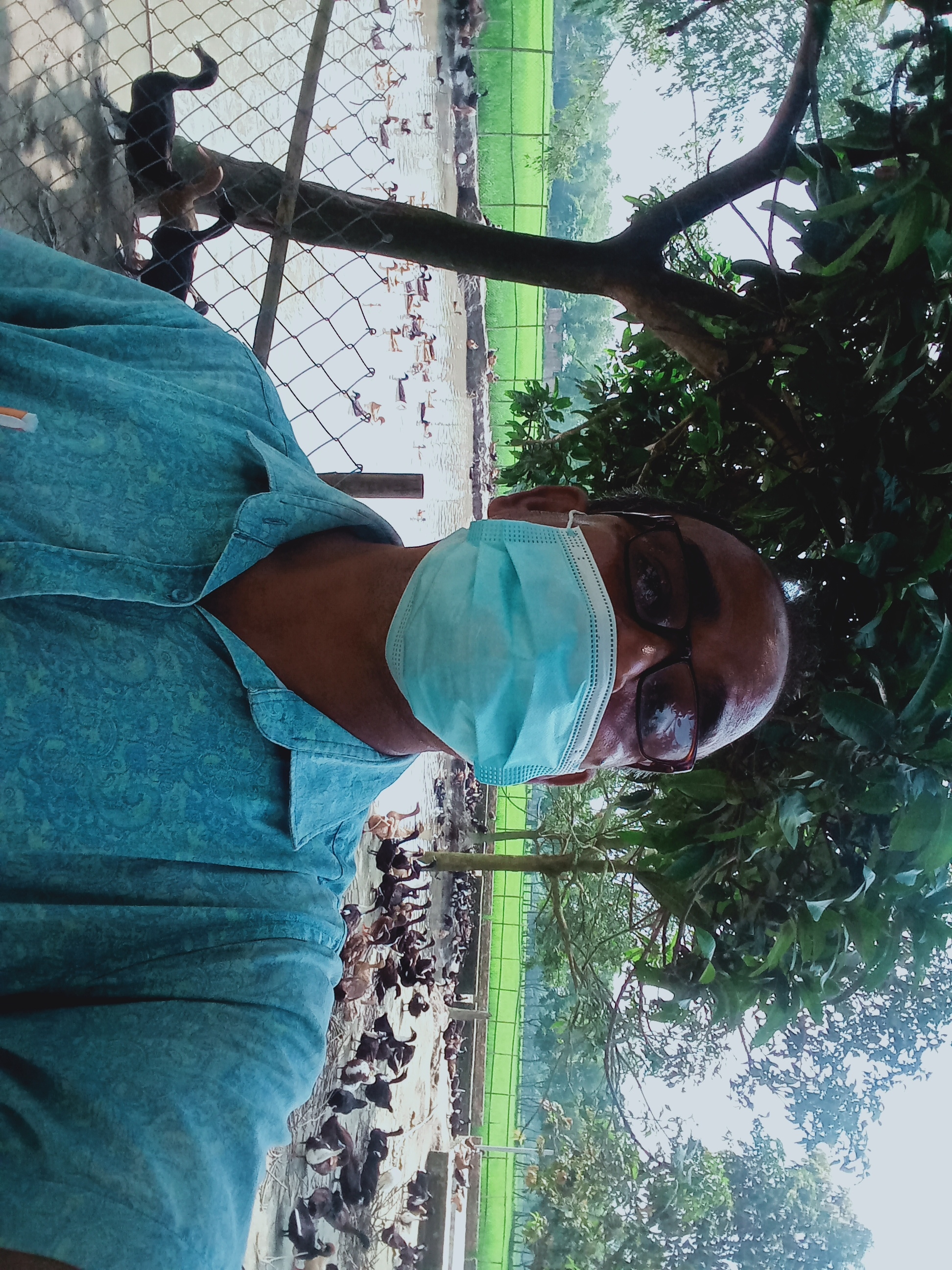 হাঁসের খামার পরিদর্শন