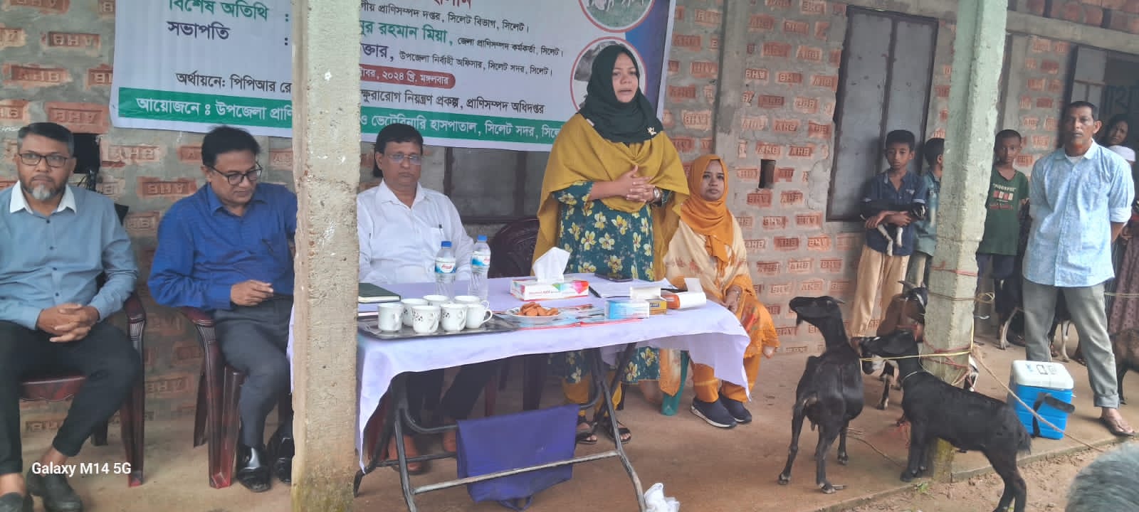 পিপিআর ও ক্ষুরারোগ নিয়ন্ত্রণ প্রকল্পের অধীনে ফ্রী ভ্যাকসিনেশন/২০২৪