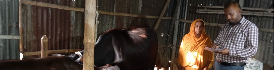 উপজেলা প্রাণিসম্পদ কর্মকর্তা কর্তৃক প্রান্তিক খামাড় পরিদর্শন ও প্রয়োজনীয় পরামর্শ প্রদান