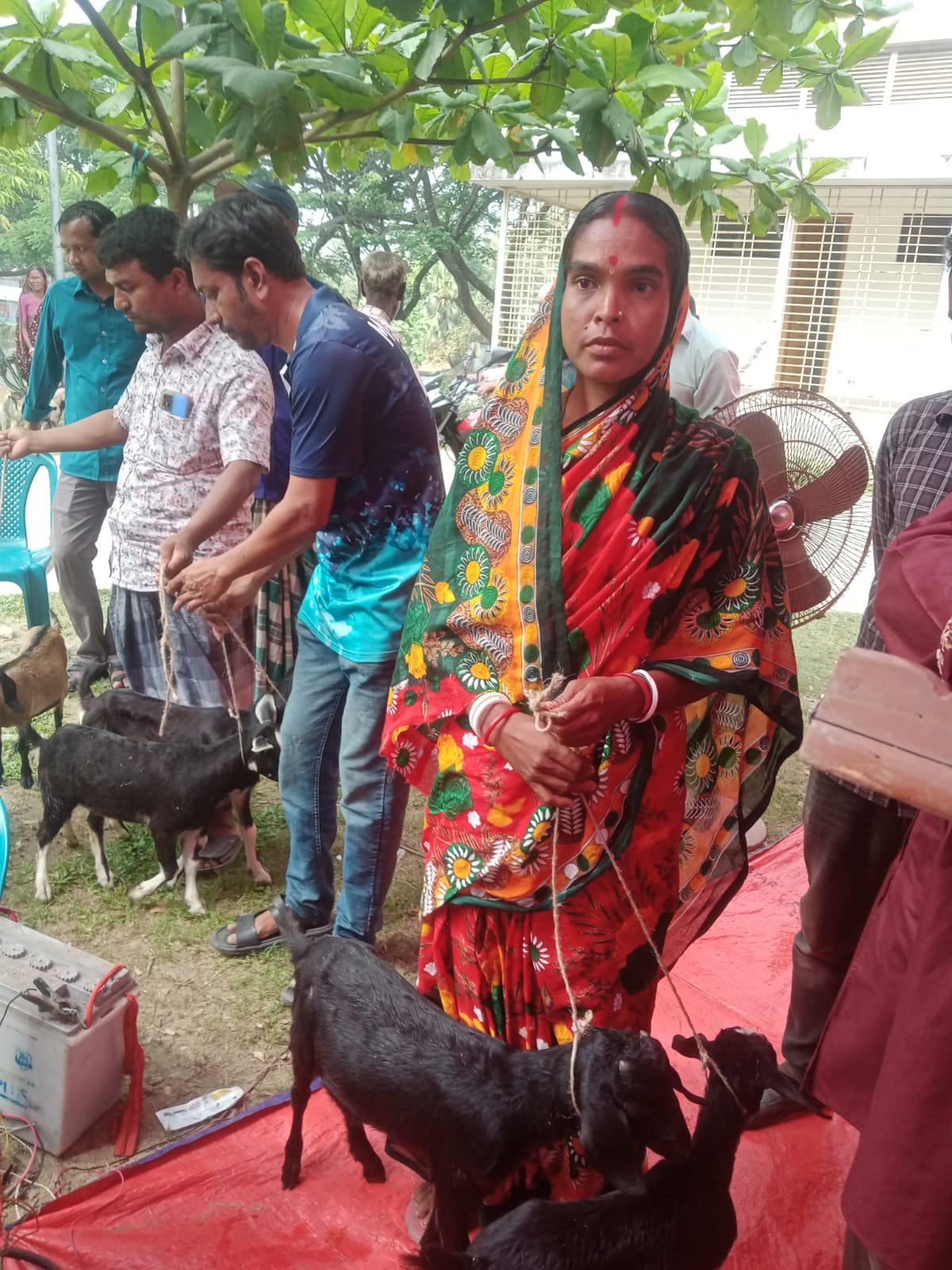 ছাগল বিতরণ