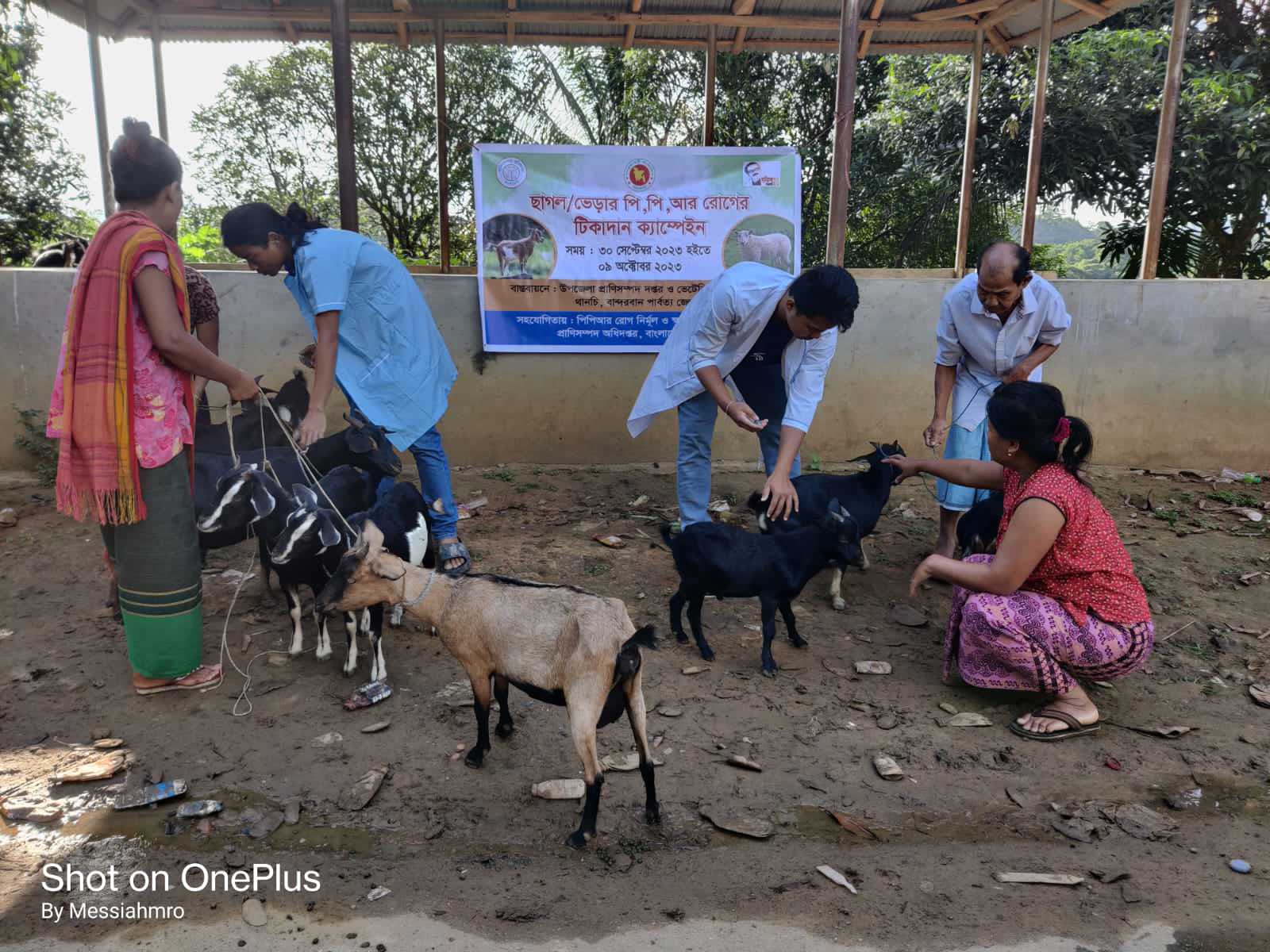 টিকাদান ক্যাম্পেইন