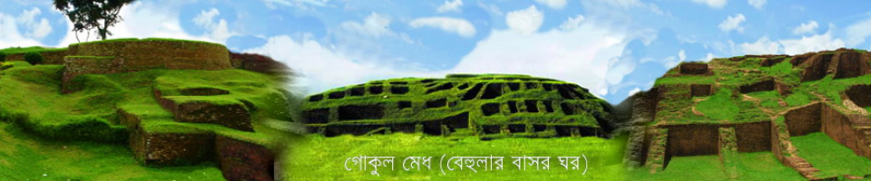 গোকুল
