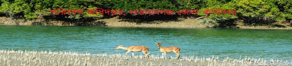 প্রকৃতি ও জীবন