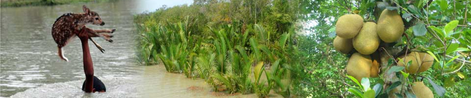 পরিবেশ ও বাংলাদেশ