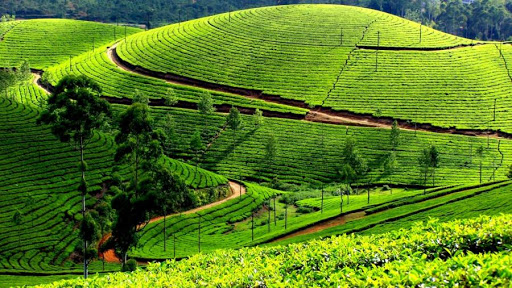 প্রকৃতি কন্যা সিলেট
