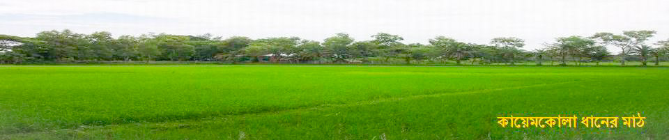 দোগাছি ইউনিয়ন