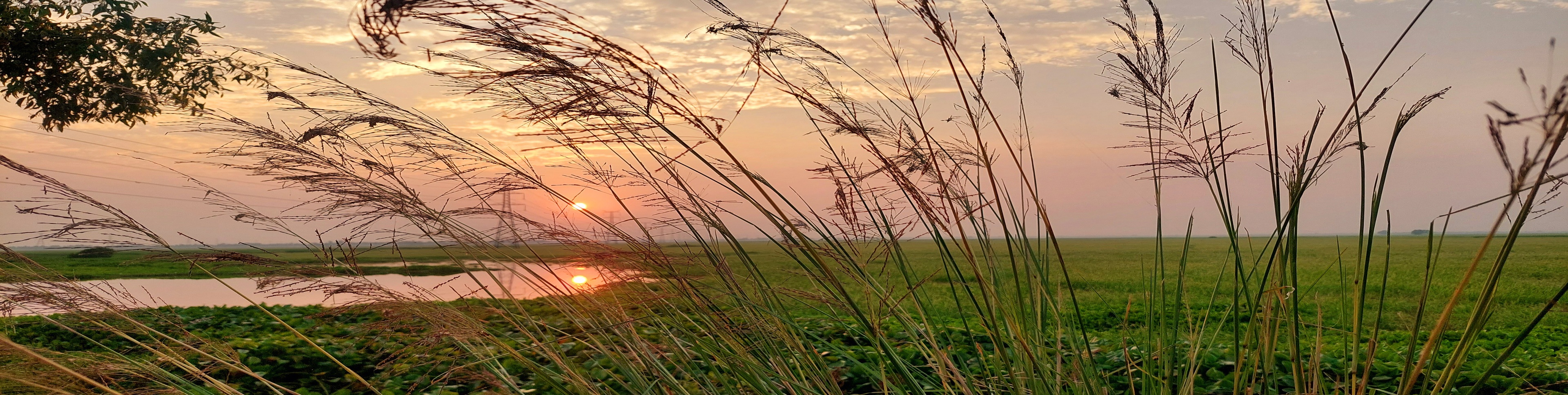ঘেচুয়া সুইজ গেইট