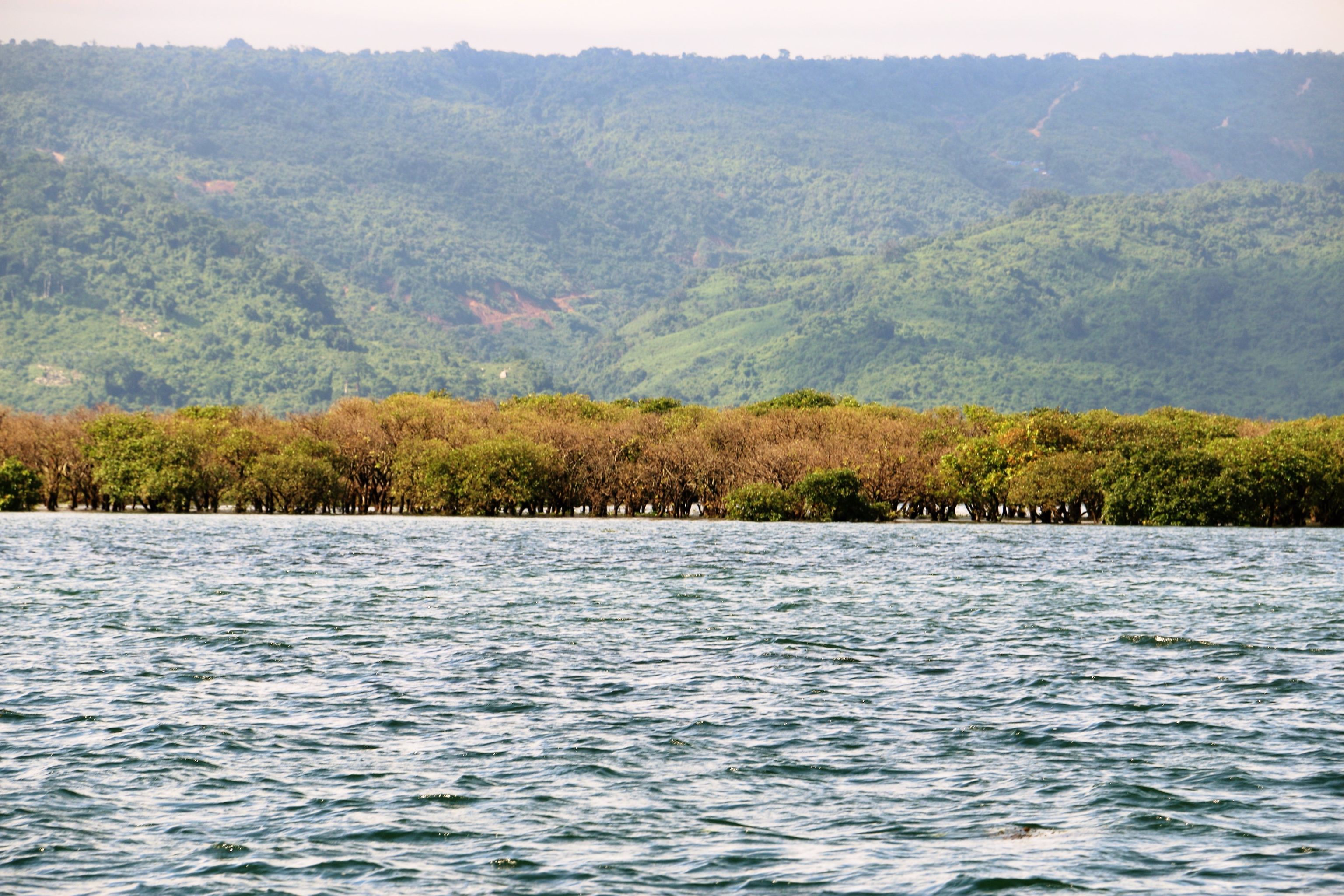 ব্যানার ২