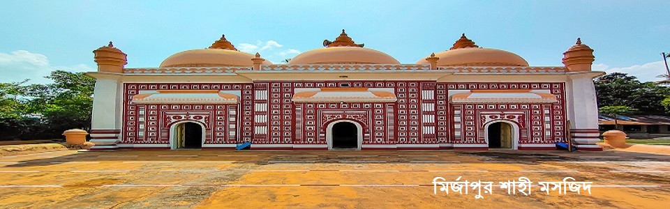 মির্জাপুর শাহী মসজিদ