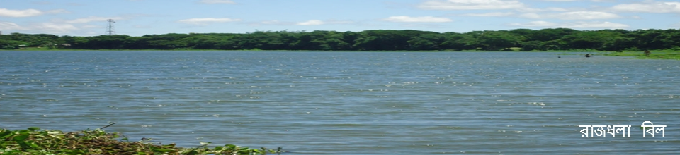 রাজধলা বিল