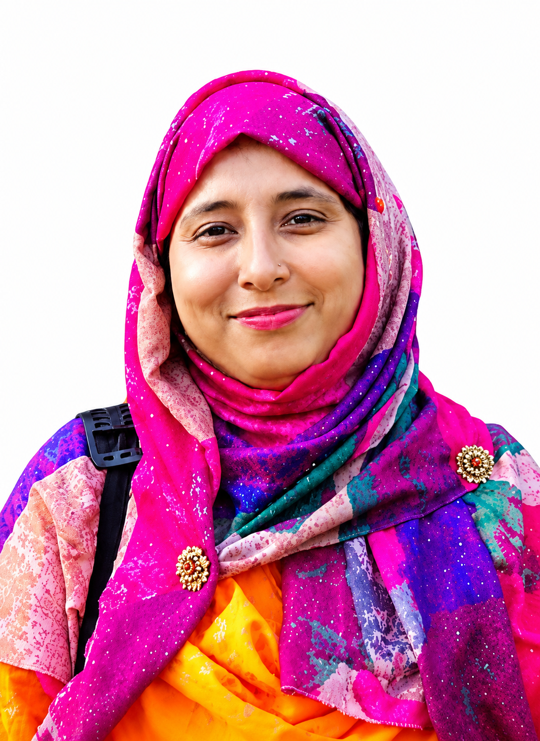 minister