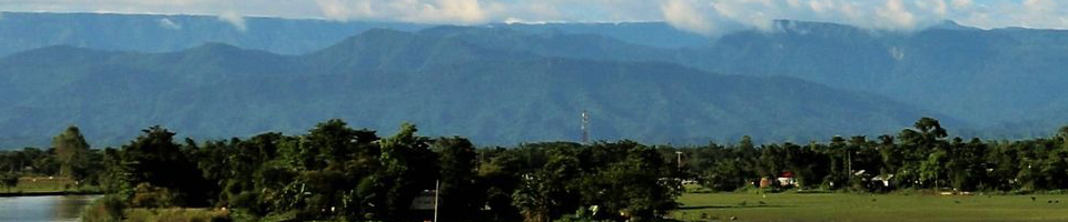 ব্যানার