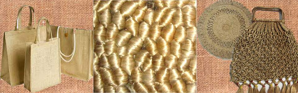 হেড অফিস