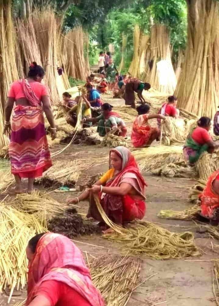 সোনালী আশঁ