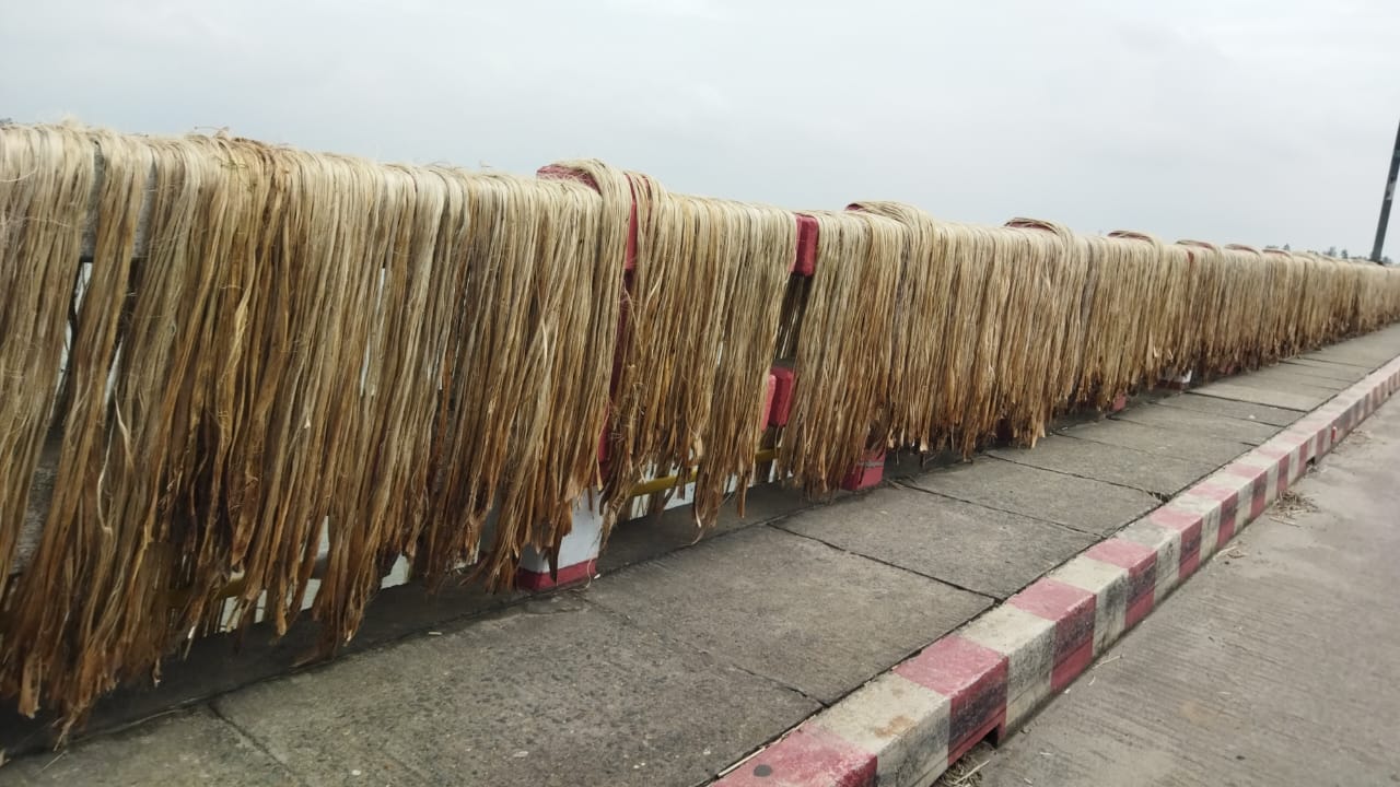 মুখ্য পরিদর্শকের কার্যালয়,পাট অধিদপ্তর,লালমনিরহাট