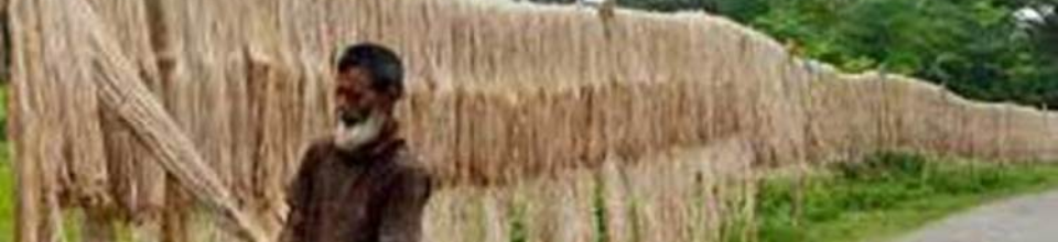 বাংলার পাট বিশ্বমাত