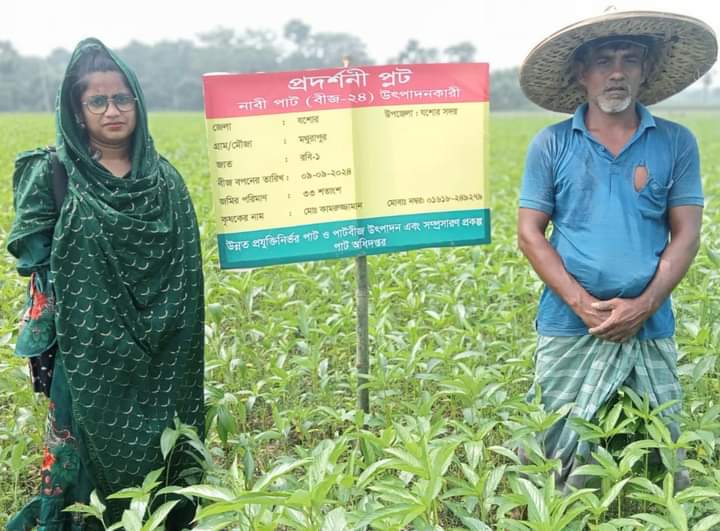 প্রদর্শনী প্লট পরিদর্শন