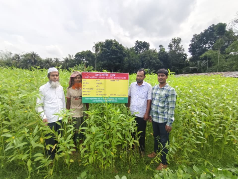 প্লট পরিদর্শন