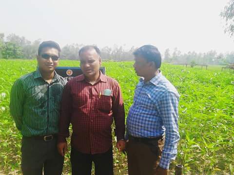 নাবী পাটবীজ উৎপাদন ক্ষেত পরিদর্শন ২০১৫ 