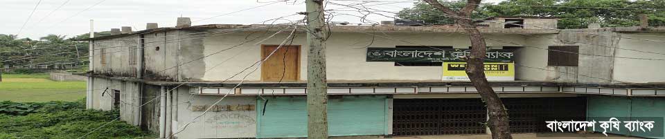 কৃষি ব্যাংক মঈনপুর