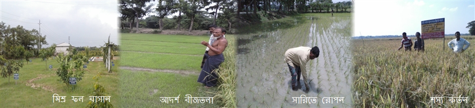 কৃষি তথ্য সার্ভিস