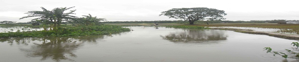 প্রাকৃতিক দৃশ্য