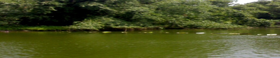 বিশালাকার পুকুরে মৎসচাষ