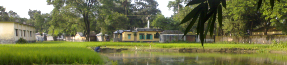 প্রকৃতি ও সভ্যতা