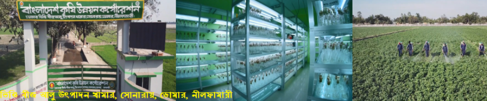 ডোমার ভিত্তি বীজ আলু উৎপাদন খামার
