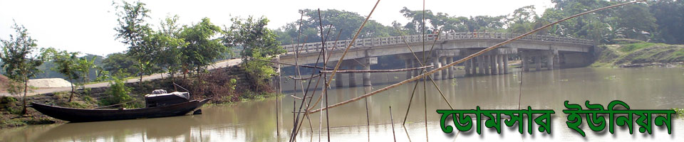 ডোমসার বাজার ব্রীজ