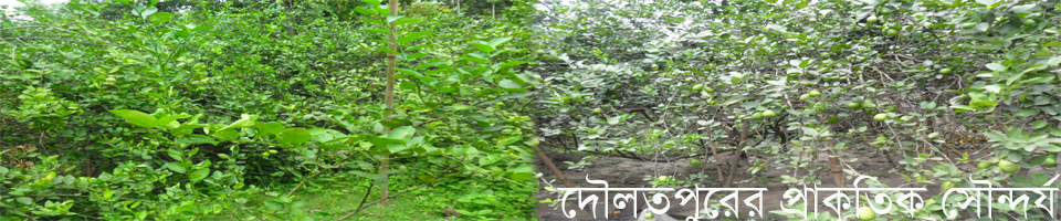 দৌলতপুরের প্রাকৃতিক সৌন্দর্য্য