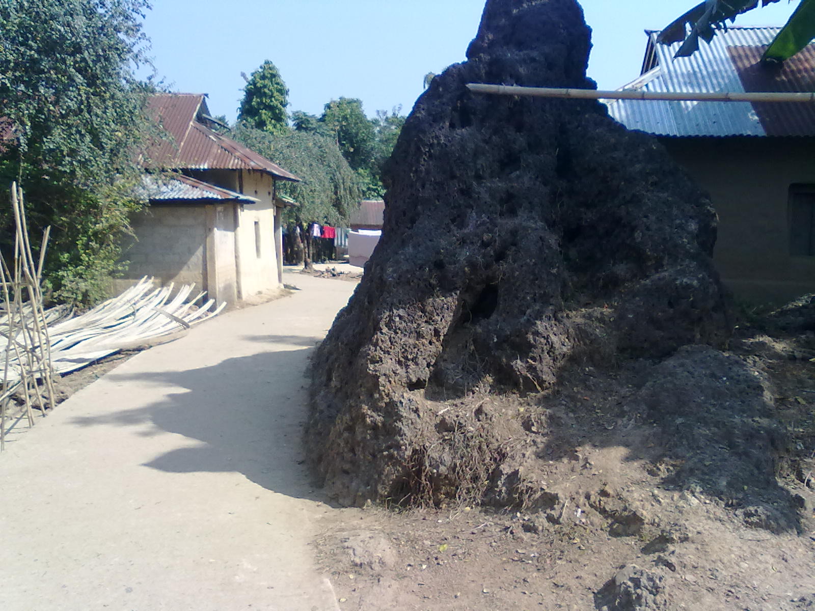 ফটোগ্যালারী