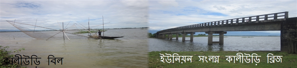 দোয়ারাবাজার 03নং ইউনিয়ন পরিষদ সংলগ্ন কালীউড়ি বিল ও ব্রিজ