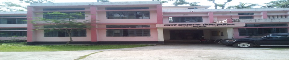 জেলা প্রাথমিক শিক্ষা অফিসারের কার্যালয়