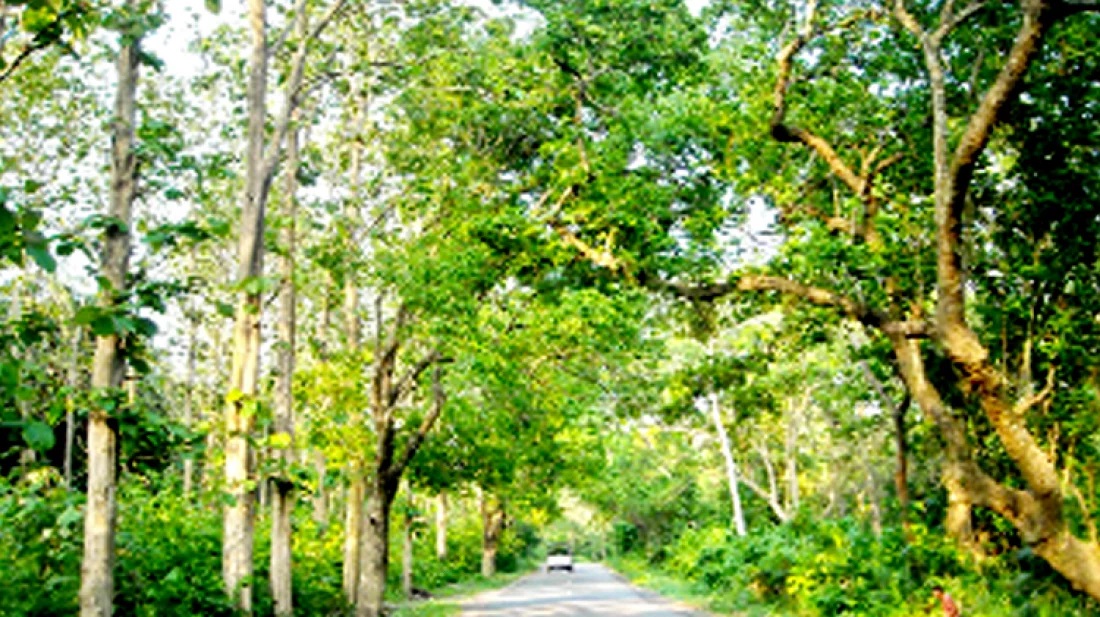 প্রাকৃতিক সৌন্দর্্য