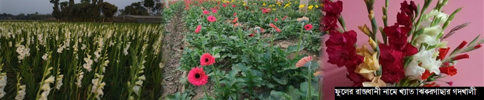 ফুলের রাজ্য গদখালী