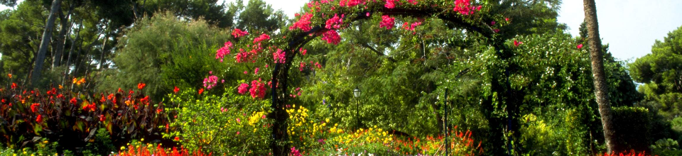 প্রাকৃতিক দৃশ্য