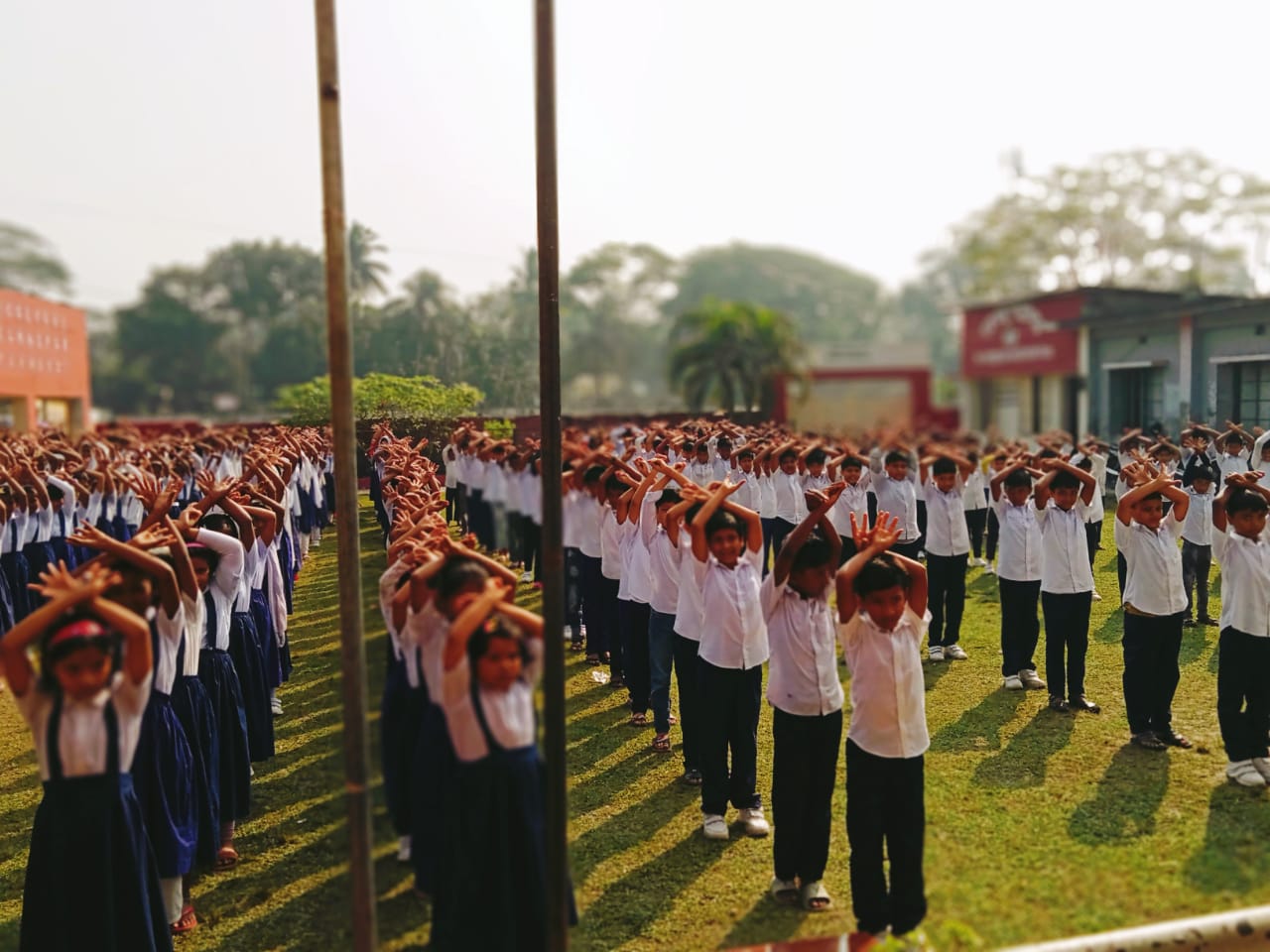 ব্যানার