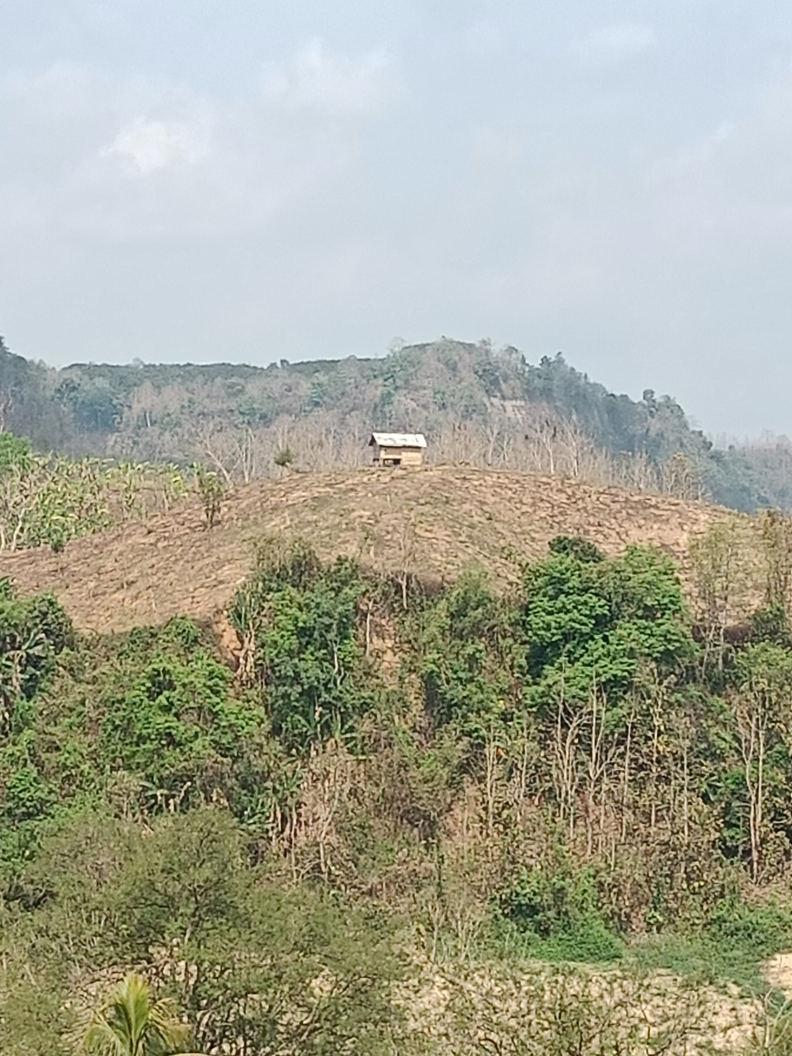 মাচাং