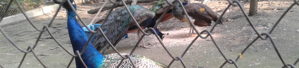 উপজেলা শিক্ষা অফিস, সদর, গাজীপুর