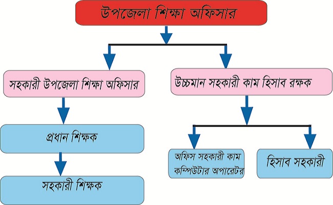 উপজেলা শিক্ষা অফিস